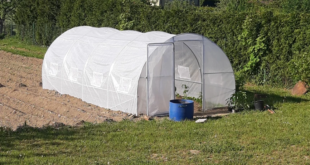 solar_pentru_legume_cu_cadru_metalic_3x6m_garden_point_alb_solarii_de_gradina_15661